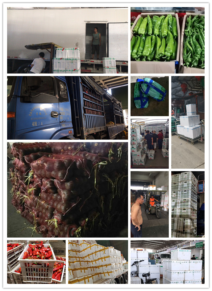 万利官网-相信品牌力量