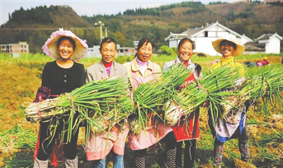 万利官网-相信品牌力量