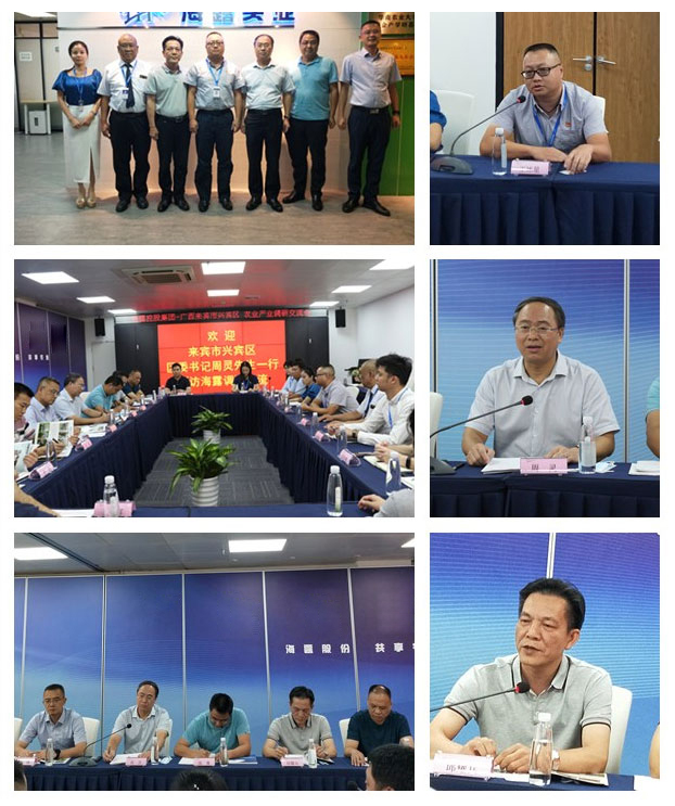 万利官网-相信品牌力量