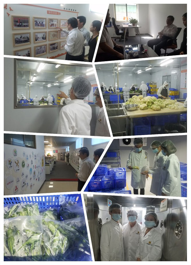 万利官网-相信品牌力量