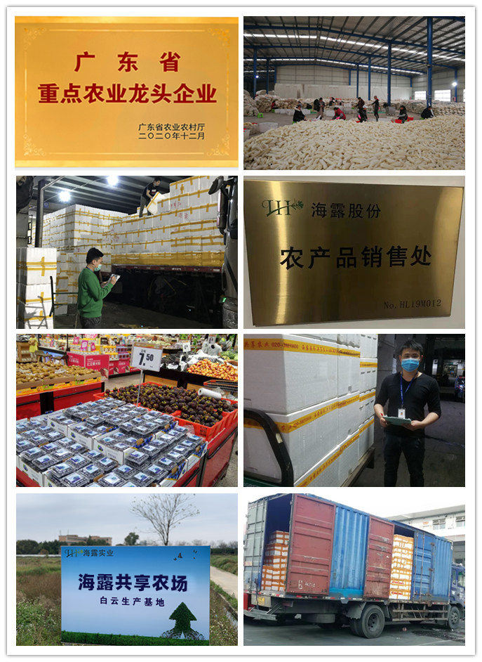 万利官网-相信品牌力量