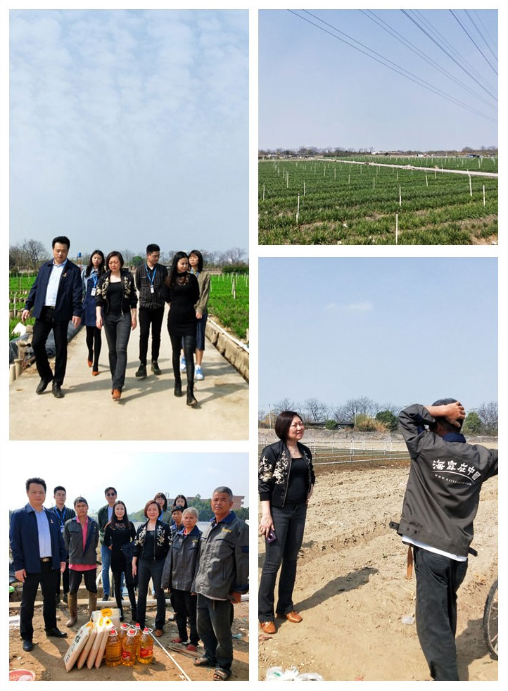 万利官网-相信品牌力量