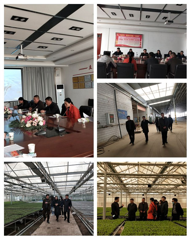 万利官网-相信品牌力量