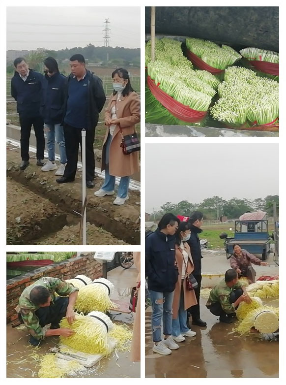 万利官网-相信品牌力量