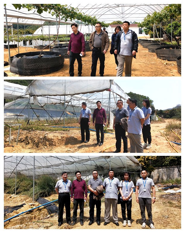 万利官网-相信品牌力量