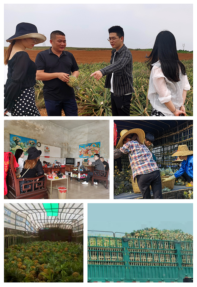 万利官网-相信品牌力量