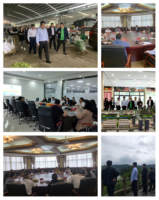 万利官网-相信品牌力量