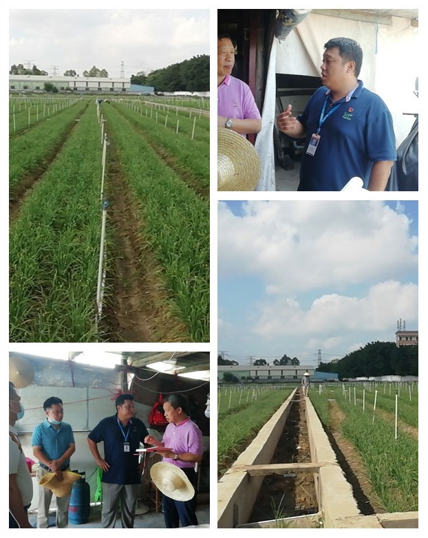 万利官网-相信品牌力量