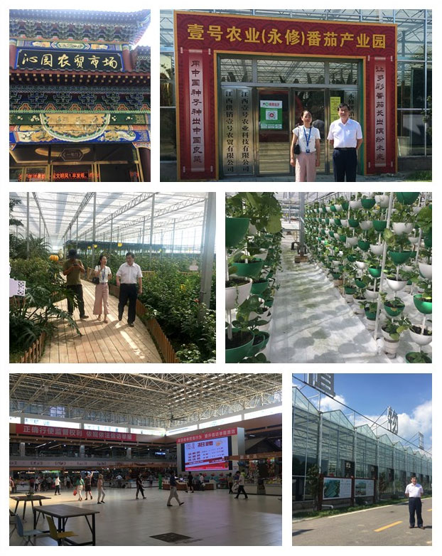 万利官网-相信品牌力量