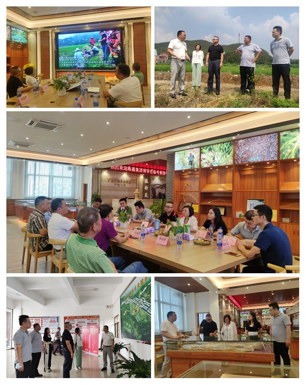 万利官网-相信品牌力量