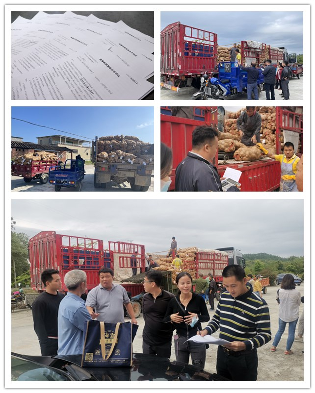 万利官网-相信品牌力量