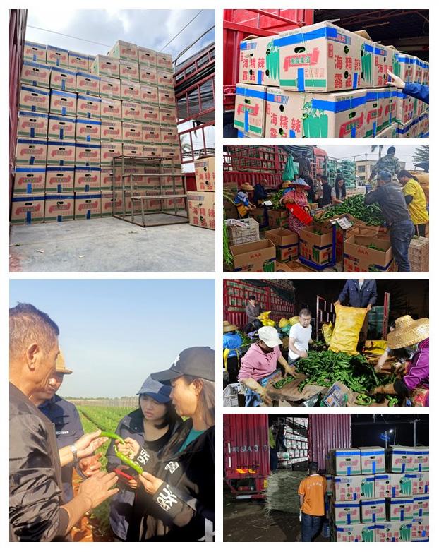 万利官网-相信品牌力量