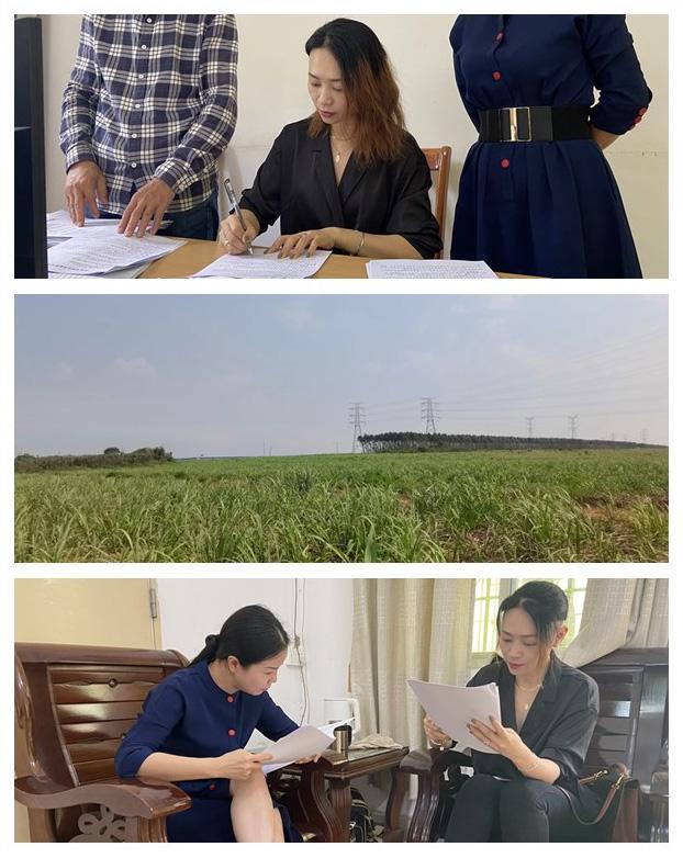 万利官网-相信品牌力量