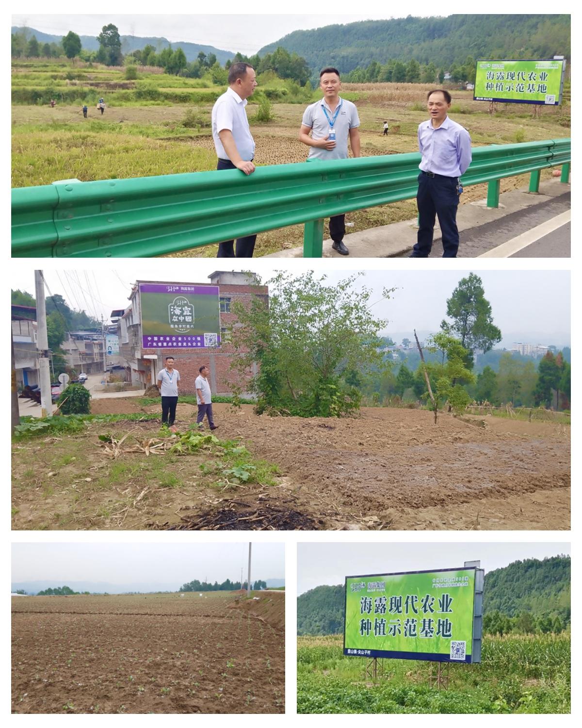 万利官网-相信品牌力量