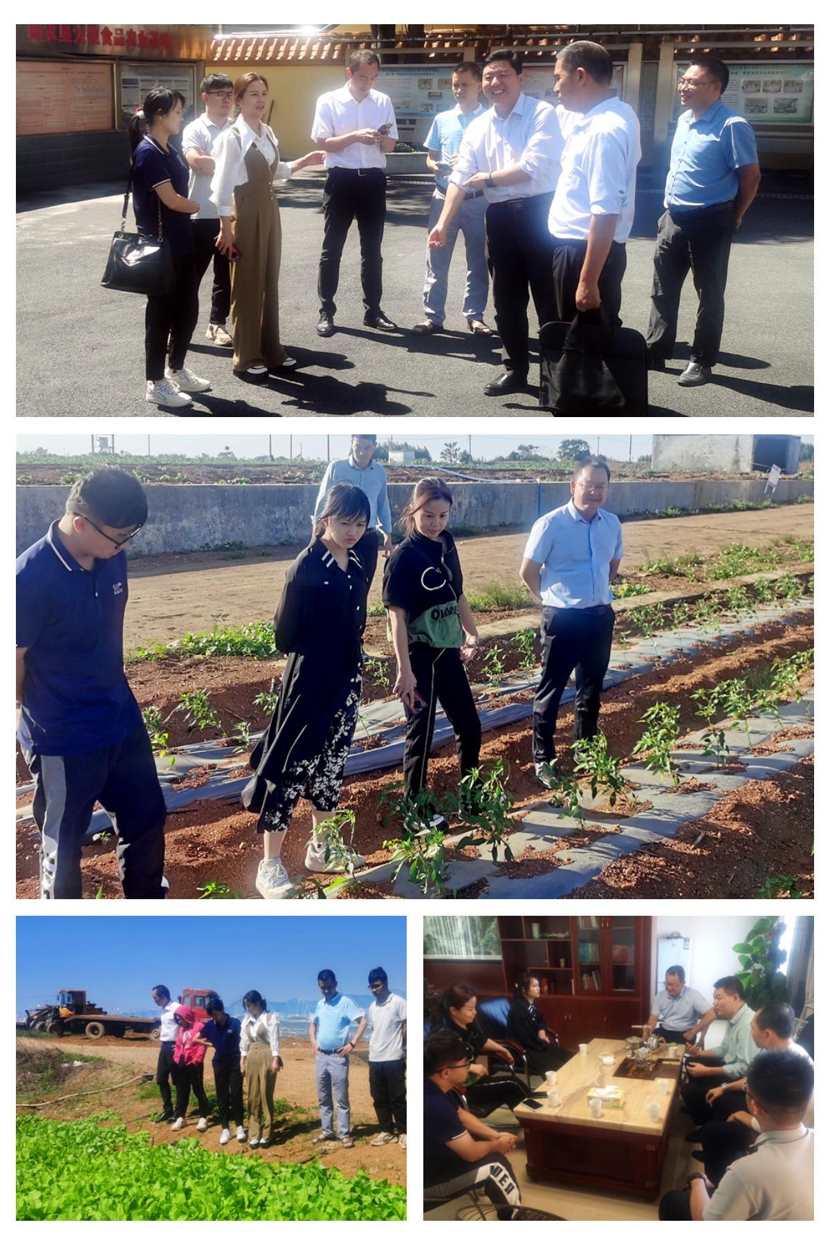 万利官网-相信品牌力量