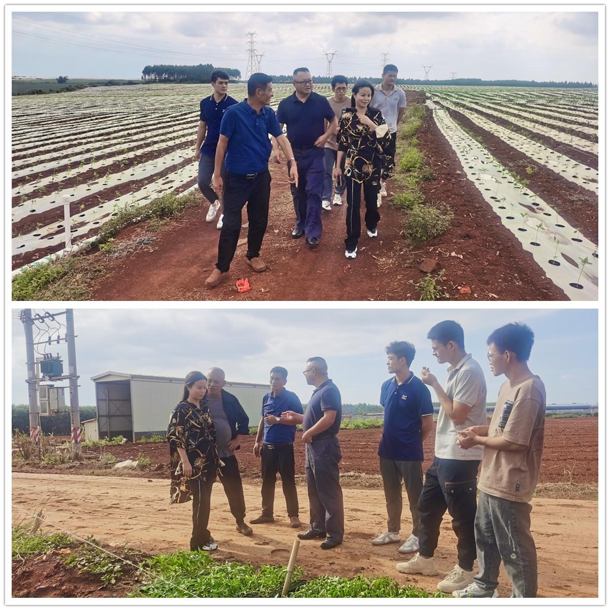 万利官网-相信品牌力量