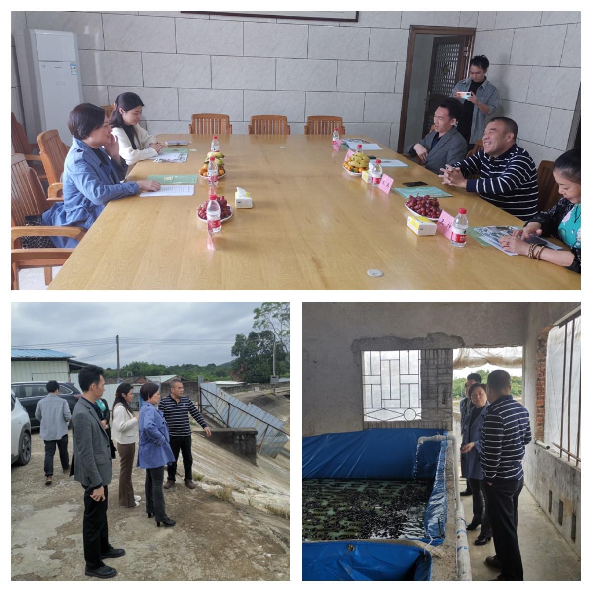 万利官网-相信品牌力量