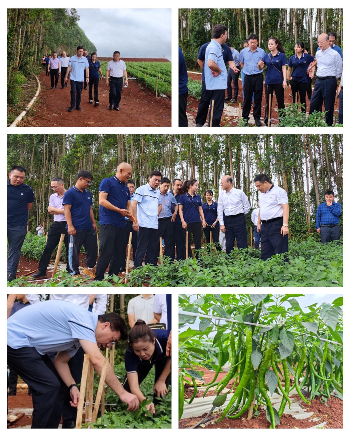 万利官网-相信品牌力量