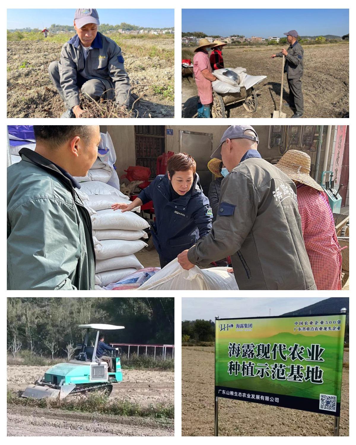 万利官网-相信品牌力量