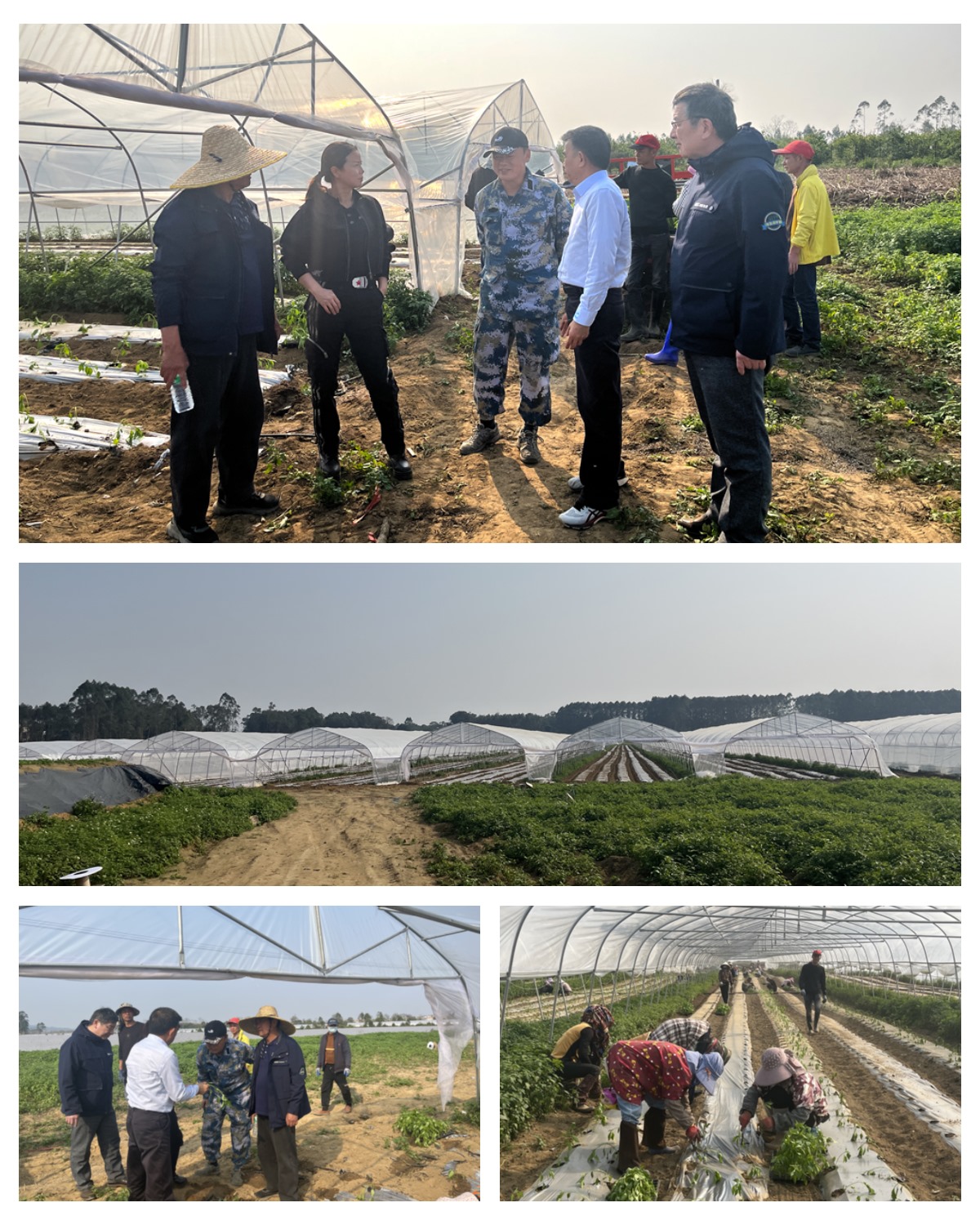 万利官网-相信品牌力量