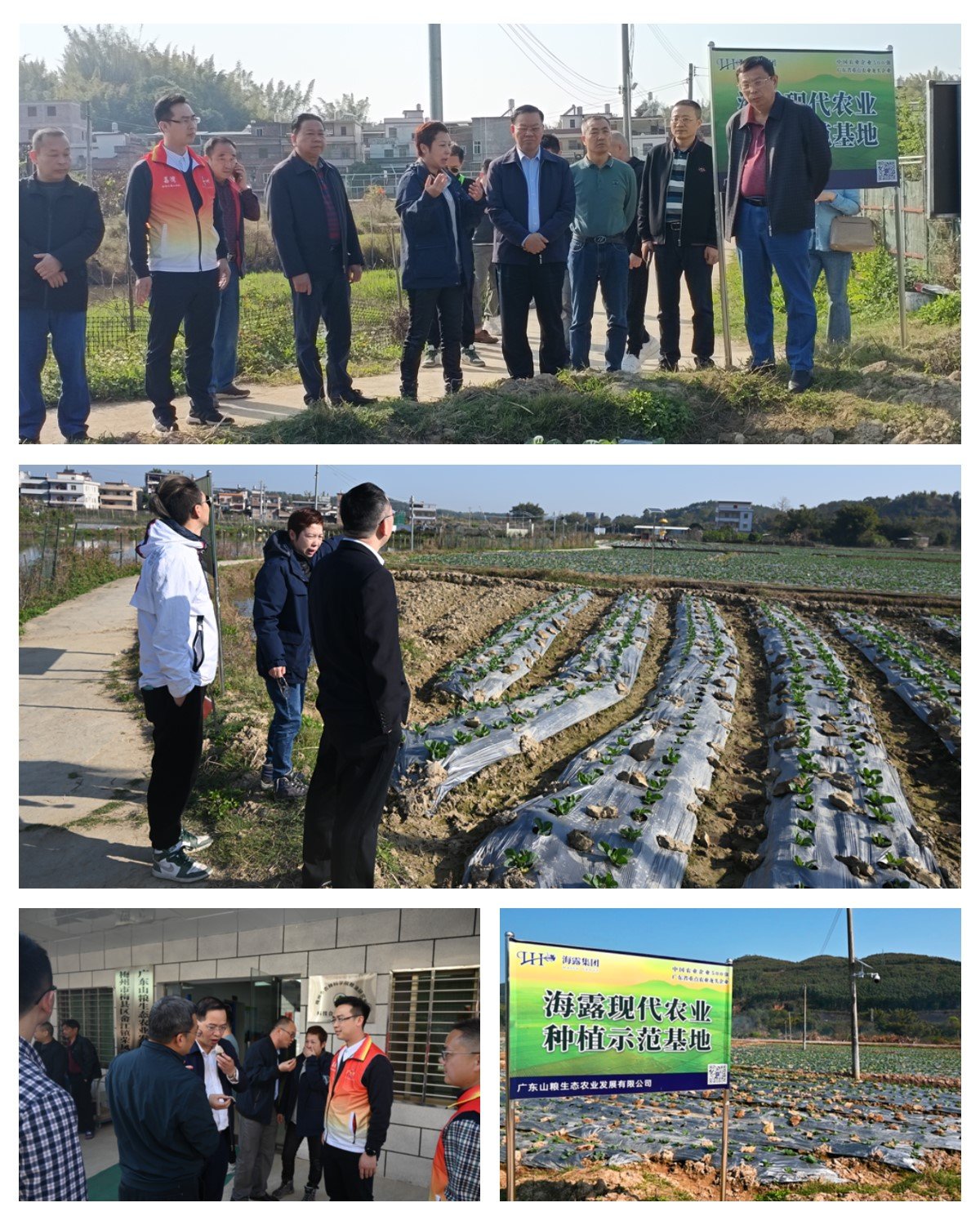 万利官网-相信品牌力量