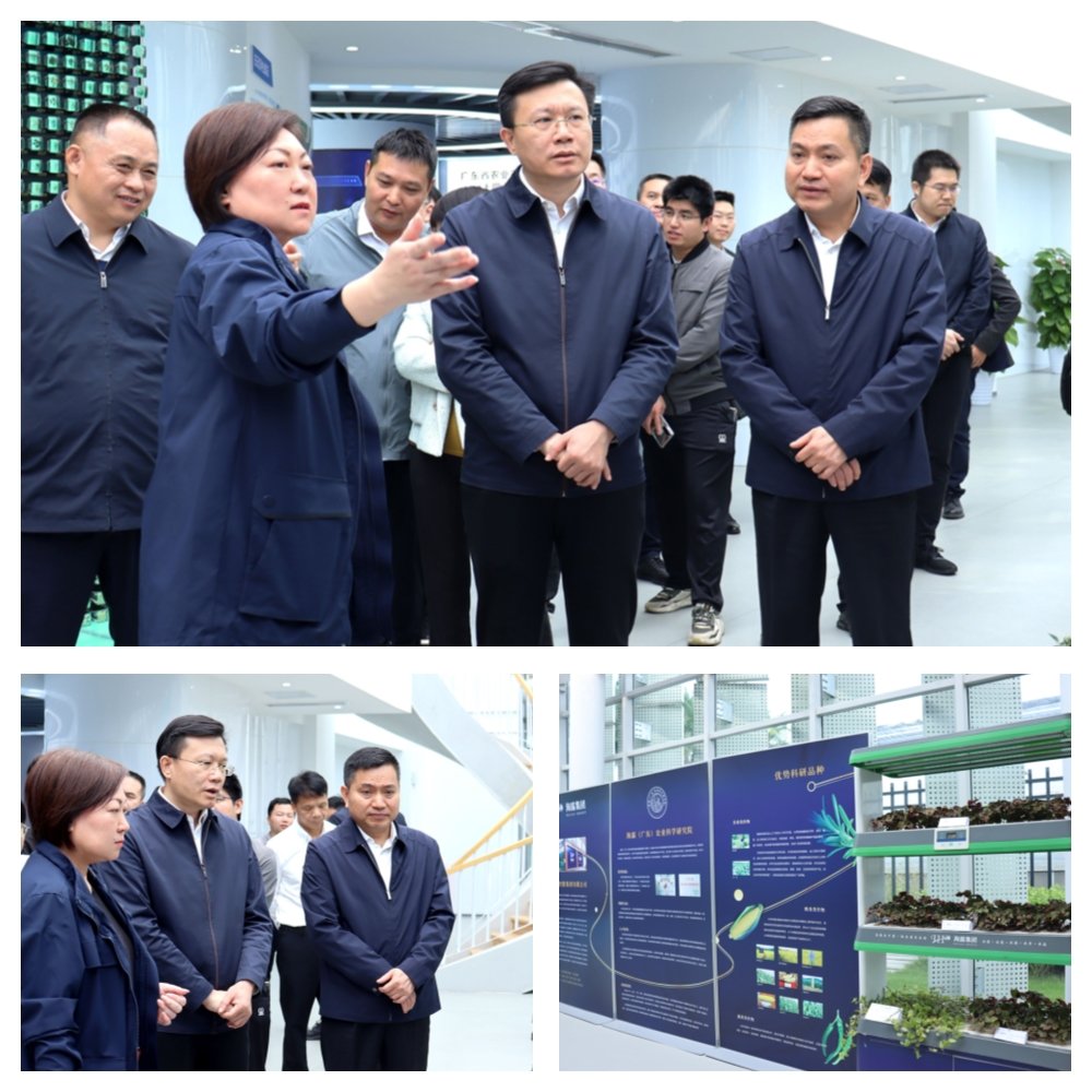 万利官网-相信品牌力量