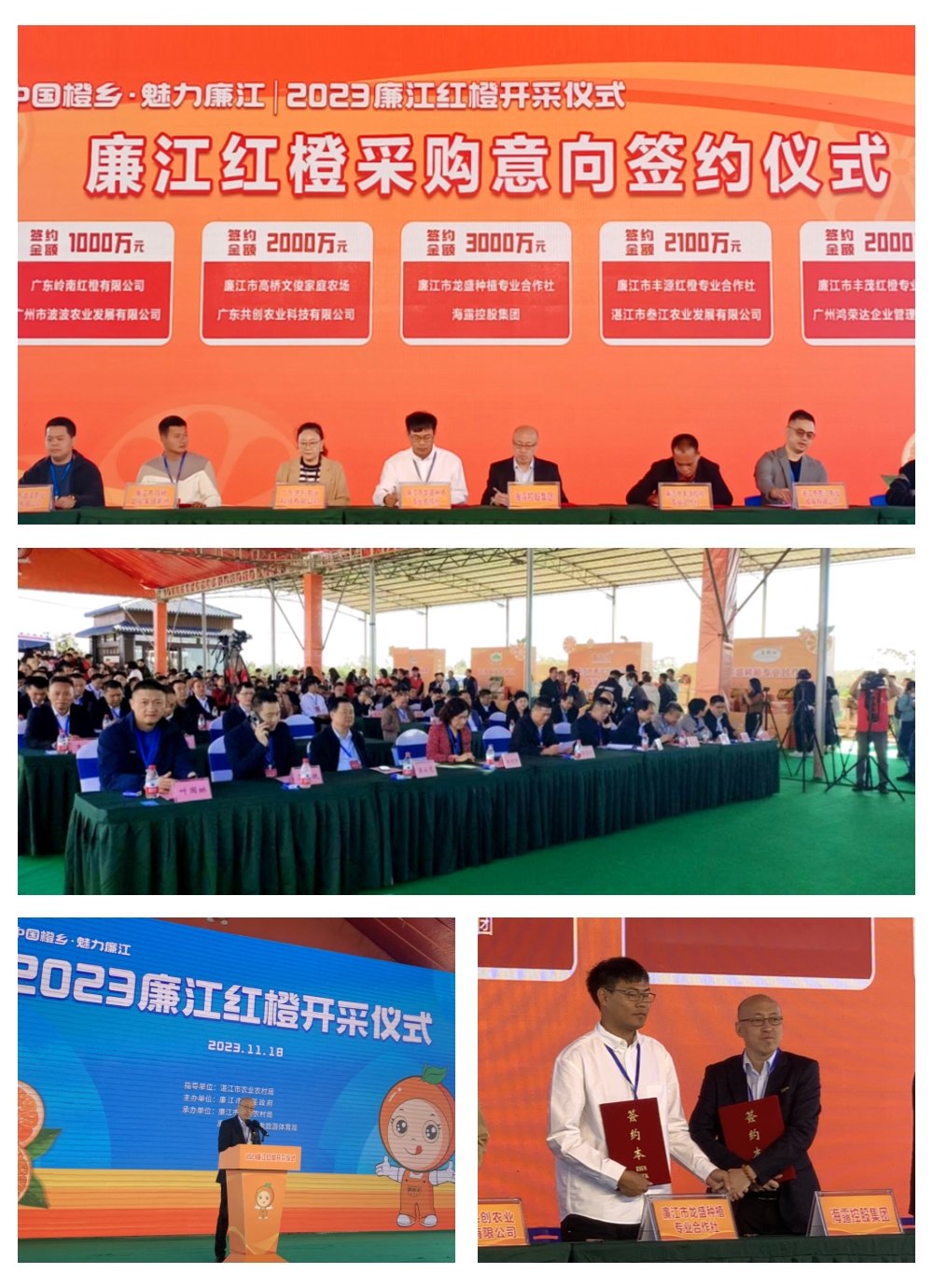 万利官网-相信品牌力量