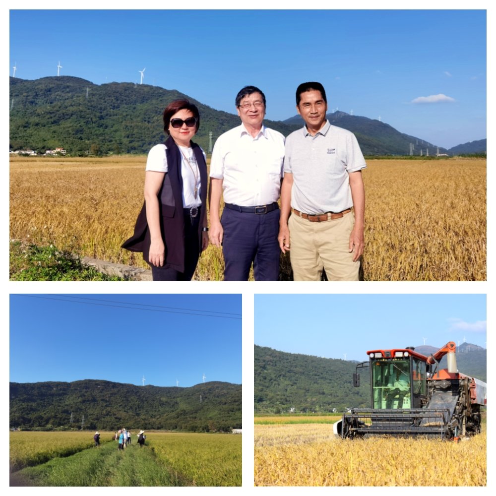 万利官网-相信品牌力量