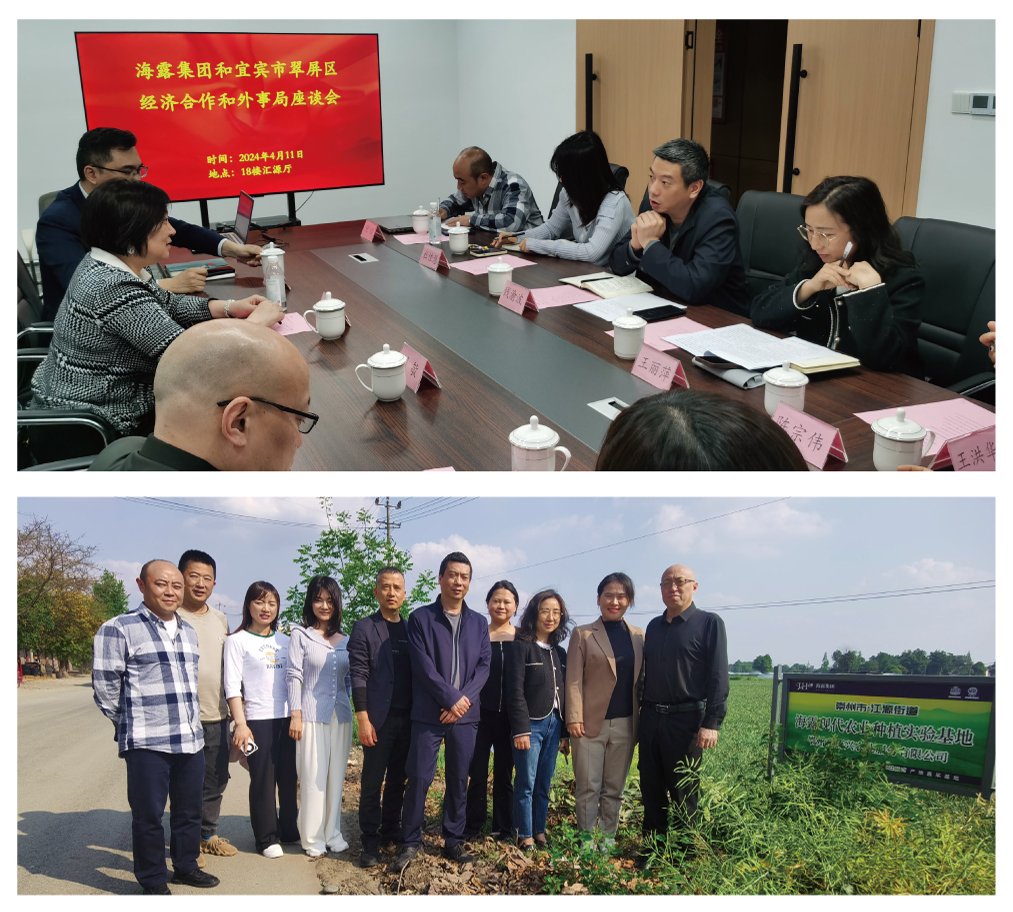 万利官网-相信品牌力量