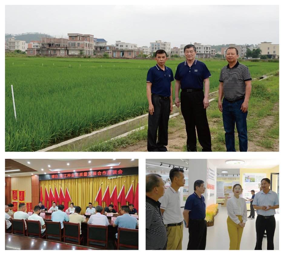 万利官网-相信品牌力量