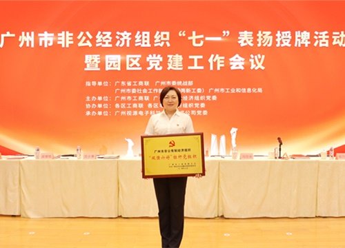 标杆引领，荣誉升级！集团党支部荣膺广州市非公有造经济组织“双强六好”标