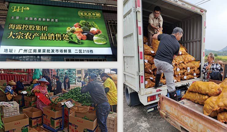 万利官网-相信品牌力量