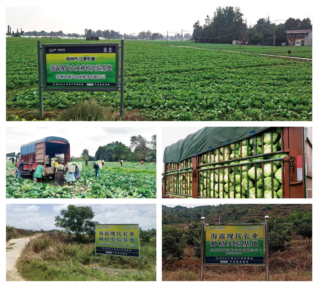 万利官网-相信品牌力量