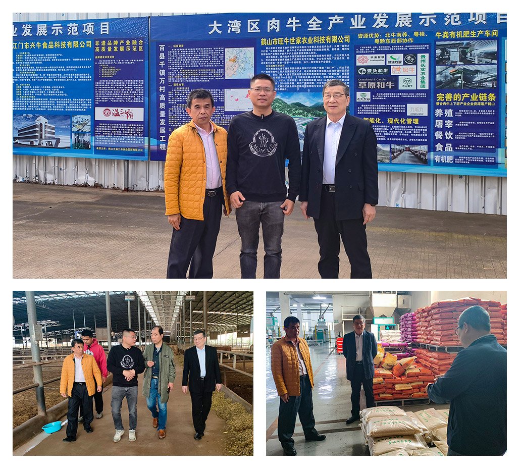 万利官网-相信品牌力量