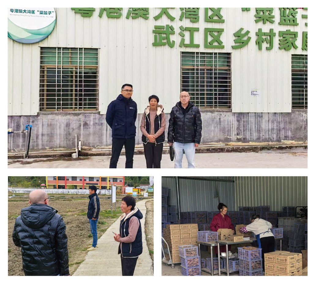 万利官网-相信品牌力量