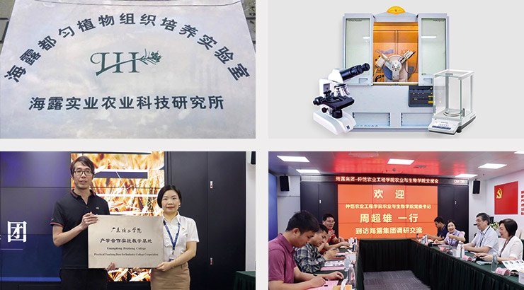 万利官网-相信品牌力量