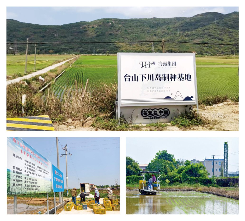 万利官网-相信品牌力量