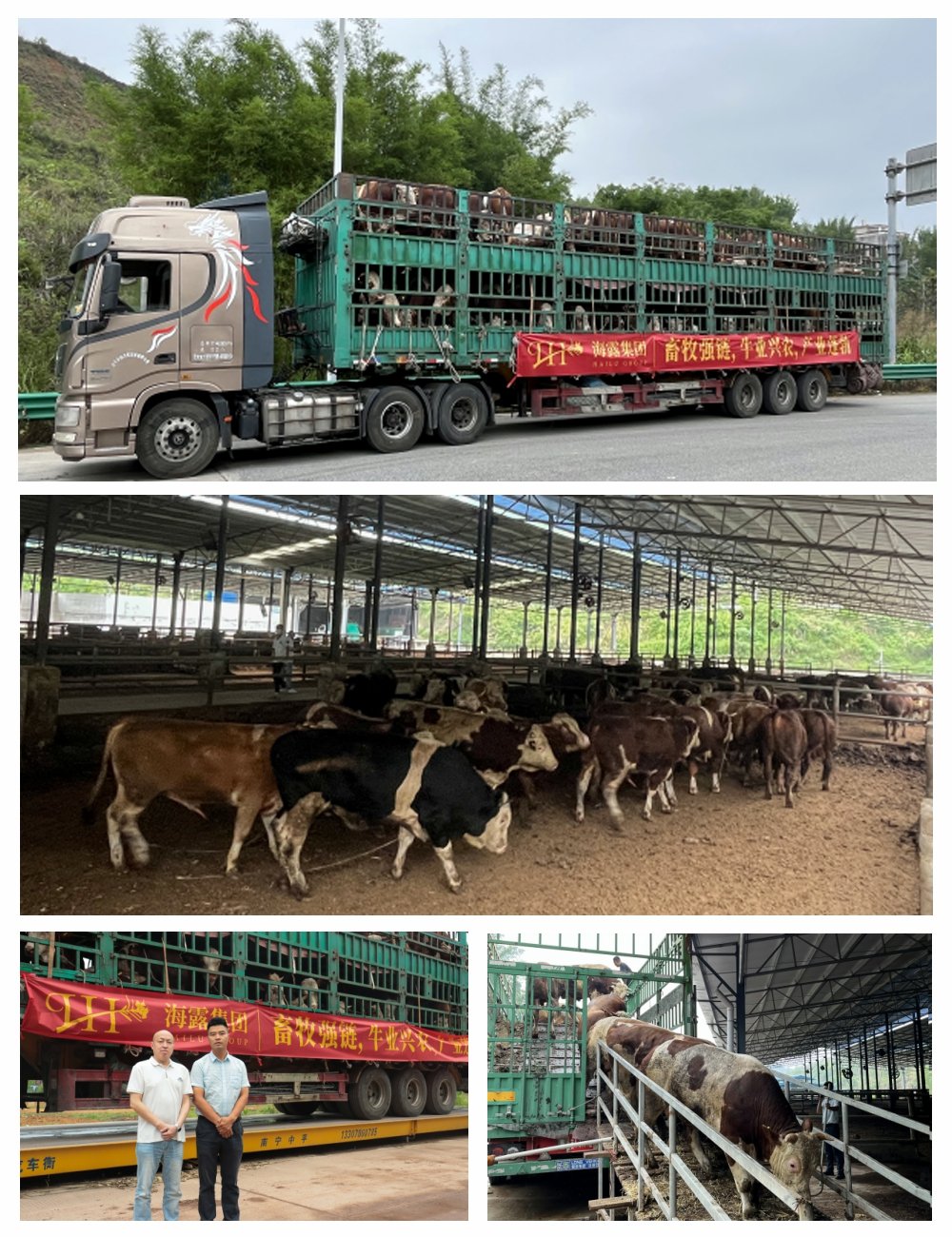 万利官网-相信品牌力量