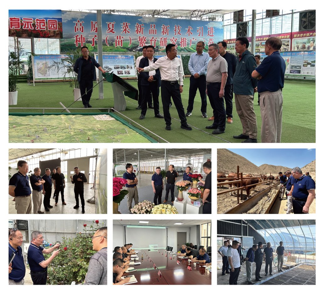 万利官网-相信品牌力量