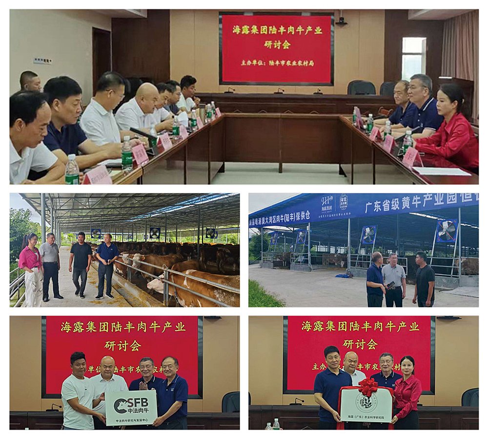 万利官网-相信品牌力量