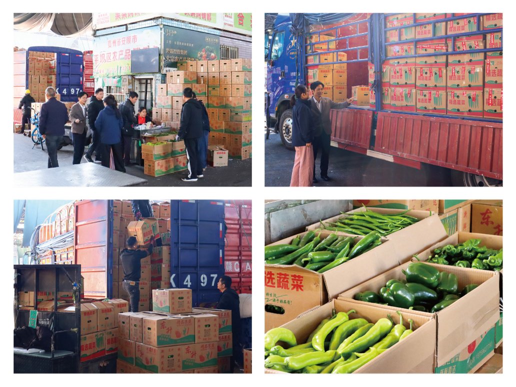 万利官网-相信品牌力量