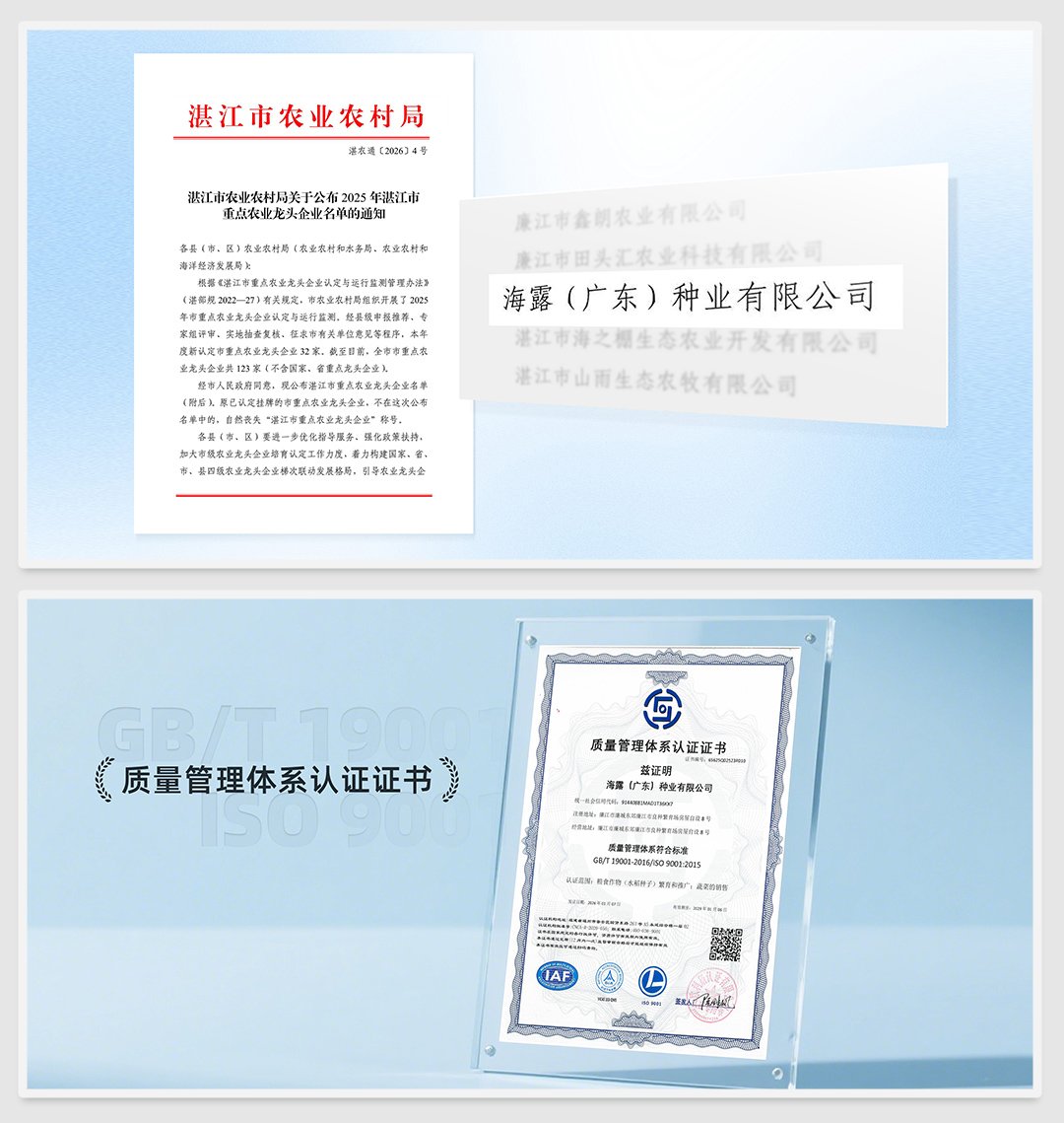 万利官网-相信品牌力量