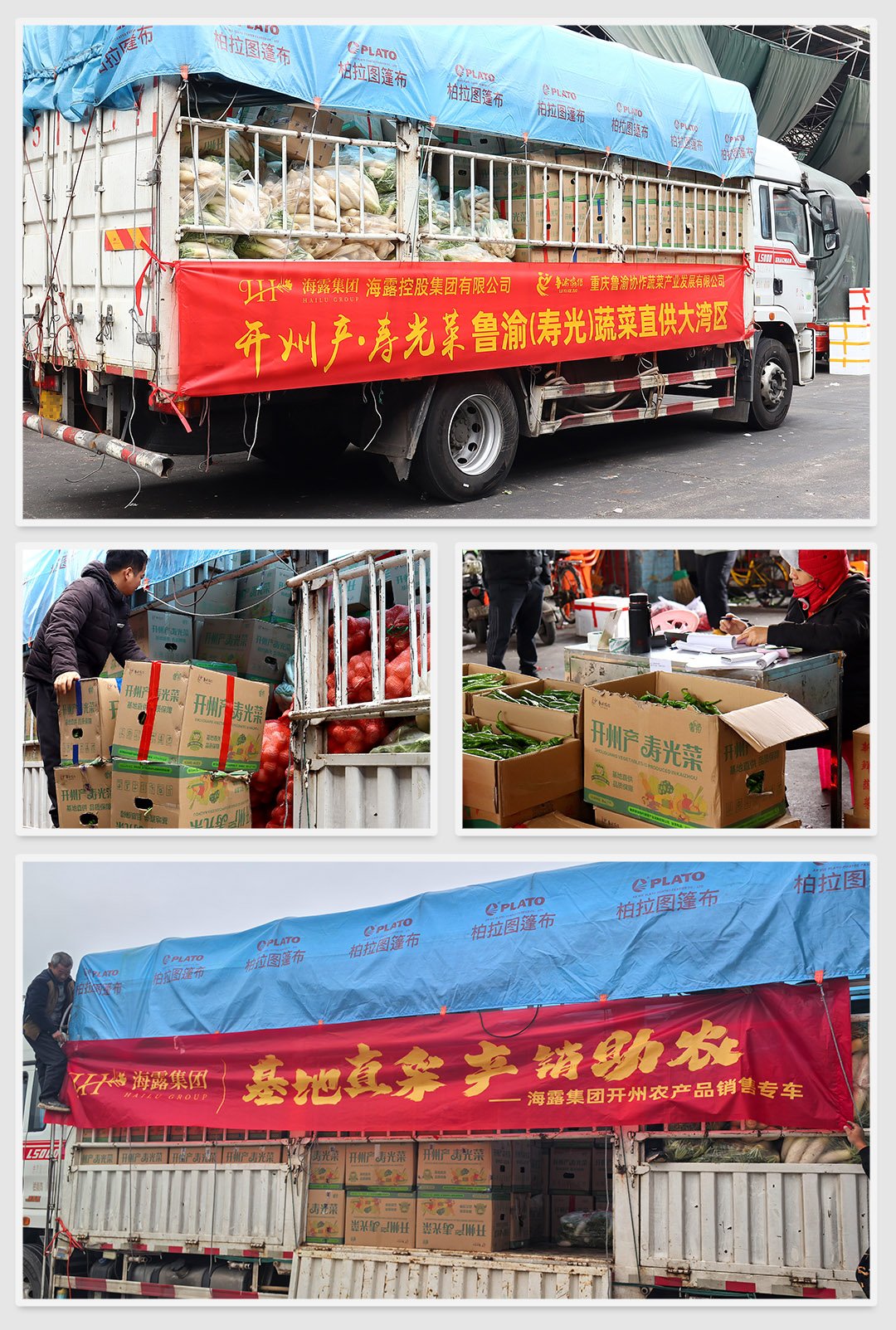 万利官网-相信品牌力量